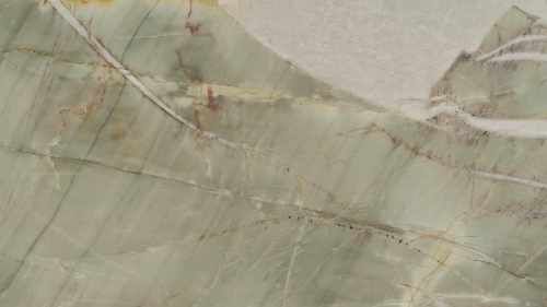 Quarzite Botanic
